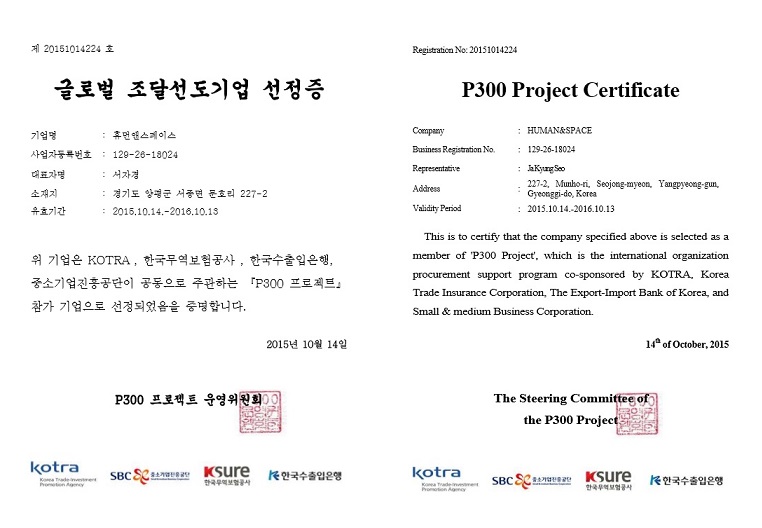 P300 Project Certificate.jpg